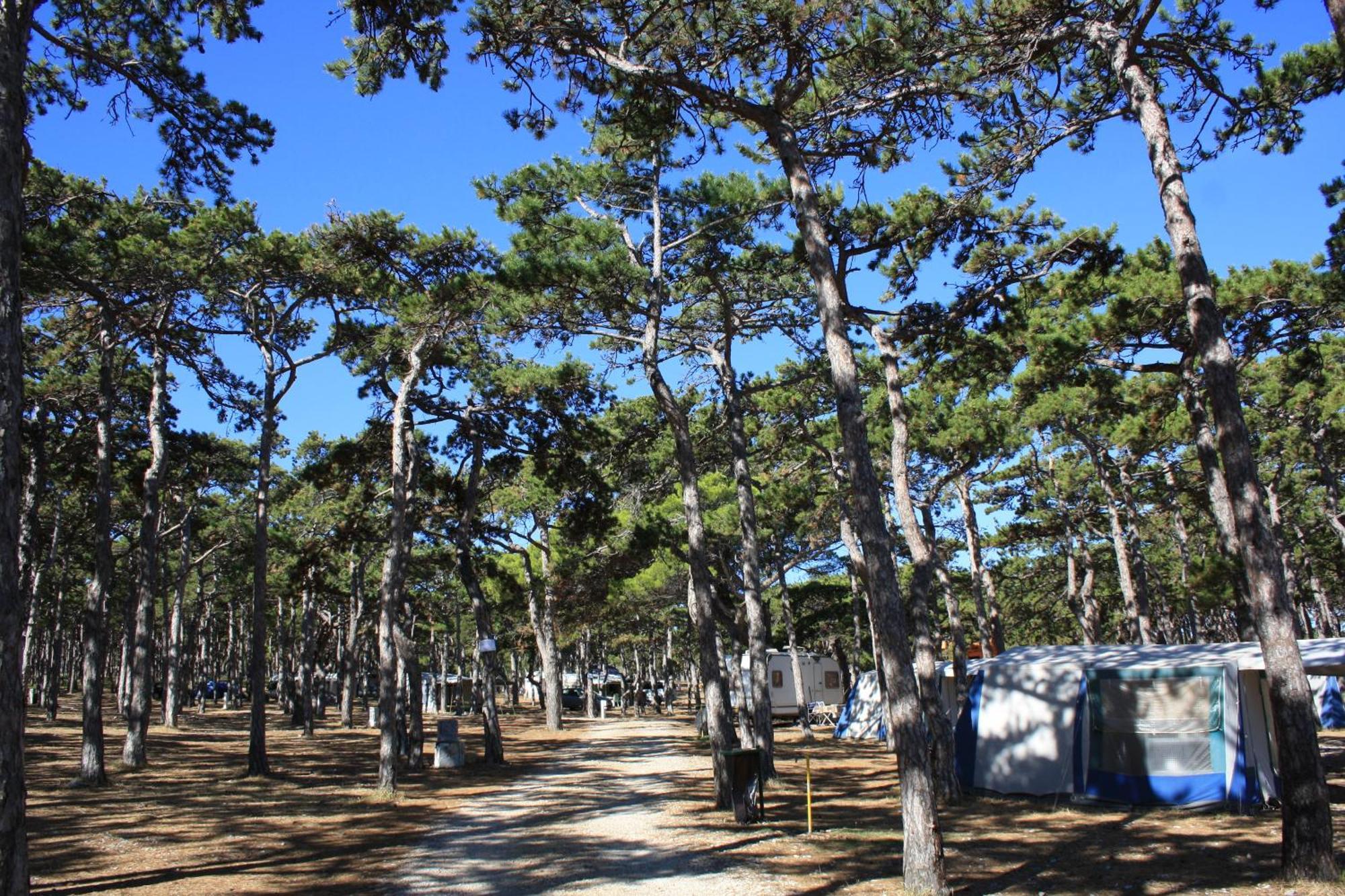 Camping Planik Hotel Razanac Luaran gambar